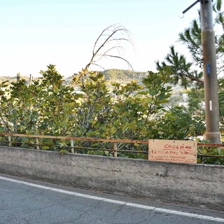 Il cartello in strada Marsaglia Il cartello in strada Marsaglia