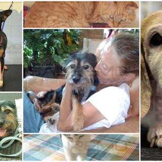 Sanremo: Cristina da lunedì sarà senza casa, chiede solo un lavoro e una sistemazione (Foto)