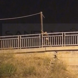 Taggia: cavo della corrente abusivo a 'penzoloni' sulla strada della stazione, rimosso stanotte dai Vigili del Fuoco (Foto)