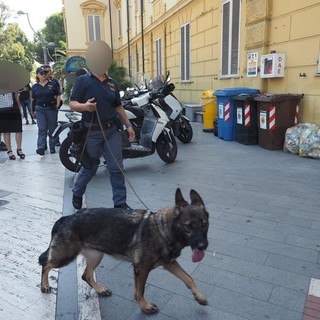Sanremo: servizi antidroga, serie di controlli dell'unità cinofila della Polizia nelle scuole (Foto e Video)