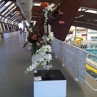 I nomi dei vincitori del 4° Concorso Decorazione Floreale 'Città di Imperia-Vele d'Epoca'