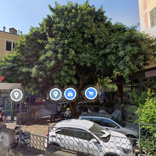 Sanremo: potatura del 'carrubo' a rondo Garibaldi, il Pat "I proprietari si sono fidati della ditta" (Foto) Sanremo: potatura del 'carrubo' a rondo Garibaldi, il Pat "I proprietari si sono fidati della ditta" (Foto)