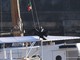 Il cormorano di porto vecchio