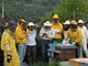 Da gennaio ad aprile prossimi ad Arma di Taggia un corso base per apicoltori principianti