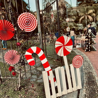 Sanremo, torna 'Cometa – Festa del Dono': quarta edizione al Parco di Villa Ormond Sanremo, torna 'Cometa – Festa del Dono': quarta edizione al Parco di Villa Ormond