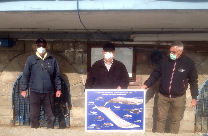 Sanremo: un pannello che raffigura i Cetacei del Mediterraneo donato ai pescatori dilettanti del porto vecchio Sanremo: un pannello che raffigura i Cetacei del Mediterraneo donato ai pescatori dilettanti del porto vecchio