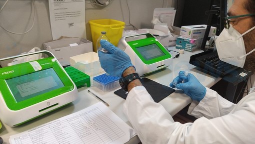 Covid: 23 nuovi positivi in provincia di Imperia, cresce anche il dato sui ricoverati Covid: 23 nuovi positivi in provincia di Imperia, cresce anche il dato sui ricoverati