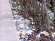 Sanremo: degrado e sporcizia a bordo della ciclabile in via Nino Bixio, ma il senso civico di molti... dove è finito? Sanremo: degrado e sporcizia a bordo della ciclabile in via Nino Bixio, ma il senso civico di molti... dove è finito?