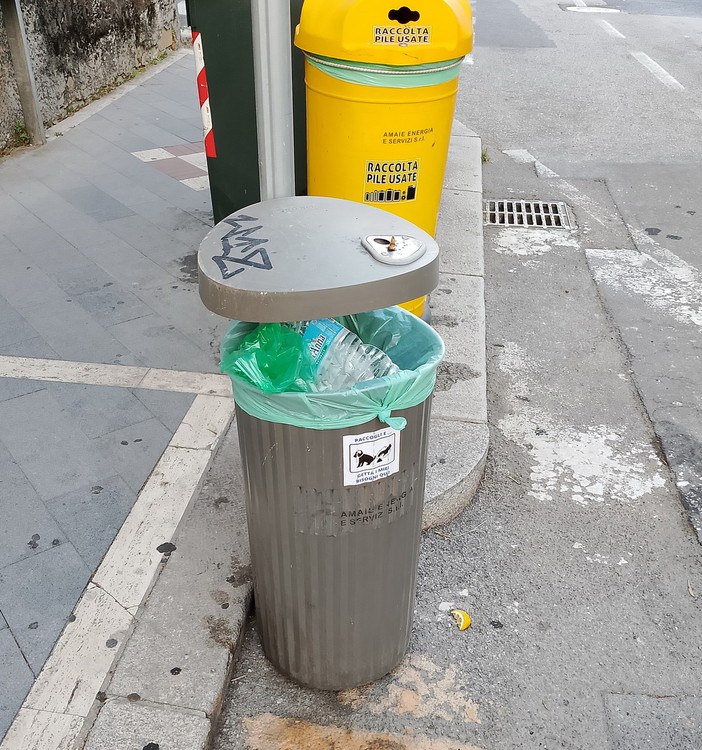 Sanremo, raccoglie i bisogni del cane ma non trova cestini: "Un quarto d'ora con gli escrementi in mano"
