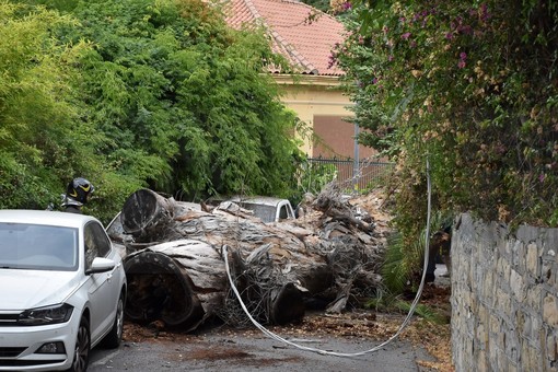 Le immagini da via Torquato Tasso