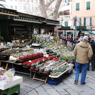 Sanremo: le bancarelle dei fiori in piazza Borea d'Olmo? Un'ipotesi per rilanciare la piazza 'fantasma'
