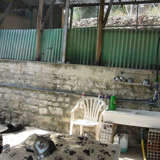 Le foto del canile di Sanremo