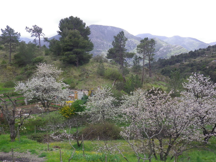 Ventimiglia: domenica escursione per beneficenza alla scoperta del Monte Grazian