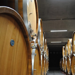 Alla cantina Terre del Barolo un ricco autunno tra vendemmia, fine lavori nei nuovi locali e la novità dello spumante metodo Classico Extra Brut Blanc De Blancs