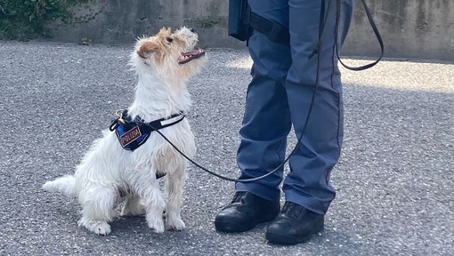 Sanremo: la Polizia con le unità cinofile ha incontrato gli alunni delle scuole Pascoli e Cassini