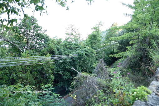 Sanremo: cavi rischiano la rottura in mezzo ad alberi e sterpaglie, non sono di corrente ma telefonici