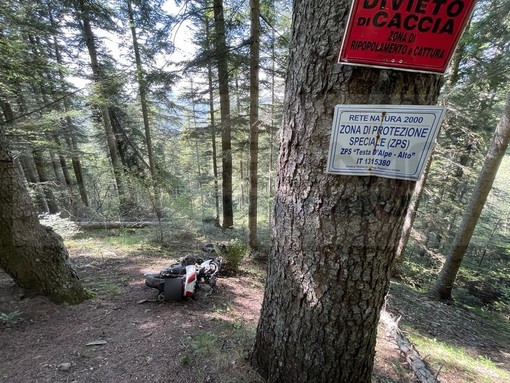 Gouta: un cimitero degli scooter all'interno del bosco, ecco lo scempio in una zona 'protetta' (Foto)