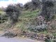 Sanremo: si spezza un ramo mentre pota un olivo a Verezzo Sant'Antonio, 45enne portato in ospedale (Foto)