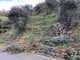 Sanremo: si spezza un ramo mentre pota un olivo a Verezzo Sant'Antonio, 45enne portato in ospedale (Foto) Sanremo: si spezza un ramo mentre pota un olivo a Verezzo Sant'Antonio, 45enne portato in ospedale (Foto)