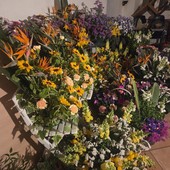 Due giorni di eventi, grande successo per "Carugi in Fiore" a Dolceacqua