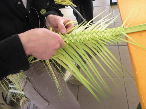 Due gazebo a Ventimiglia e Camporosso domani per l'associazione Aceb: distribuzione di palme e rami d'ulivo Due gazebo a Ventimiglia e Camporosso domani per l'associazione Aceb: distribuzione di palme e rami d'ulivo