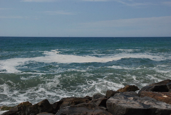 Strane chiazze sul mare lungo tutto il litorale della nostra provincia, è la fioritura della Posidonia Strane chiazze sul mare lungo tutto il litorale della nostra provincia, è la fioritura della Posidonia