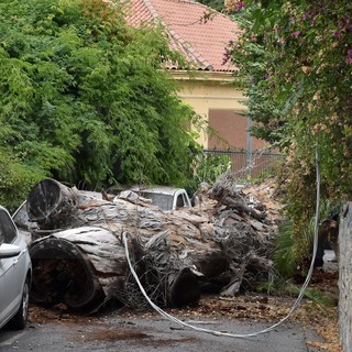 Le immagini da via Torquato Tasso Le immagini da via Torquato Tasso