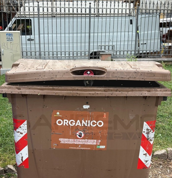Ventimiglia, l’appello degli ambulanti: "Odori e insetti vicino ai giardini, situazione ormai difficile da sopportare" Ventimiglia, l’appello degli ambulanti: "Odori e insetti vicino ai giardini, situazione ormai difficile da sopportare"