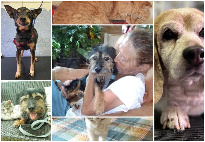 Sanremo: Cristina da lunedì sarà senza casa, chiede solo un lavoro e una sistemazione (Foto) Sanremo: Cristina da lunedì sarà senza casa, chiede solo un lavoro e una sistemazione (Foto)