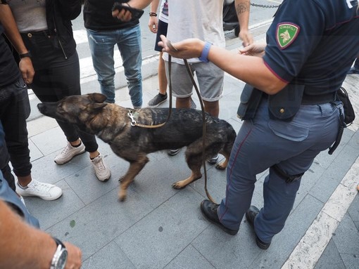 Operazione 'Scuole Sicure', a Sanremo ed Imperia controlli con i cani antidroga. Trovato dello stupefacente Operazione 'Scuole Sicure', a Sanremo ed Imperia controlli con i cani antidroga. Trovato dello stupefacente