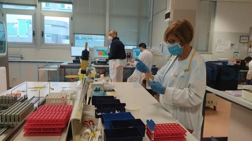 Coronavirus: picco di casi oggi, in provincia sono stati ben 265. In Liguria quasi 2.500 su 11mila tamponi