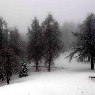 La situazione di Colle Melosa, ieri dal rifugio 'Allavena' La situazione di Colle Melosa, ieri dal rifugio 'Allavena'