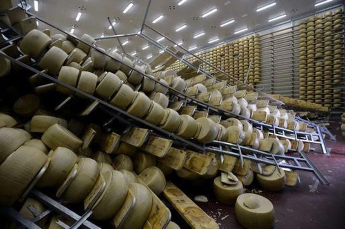 Due segnalazioni di lettori per trovare informazioni per aiutare i caseifici terremotati Due segnalazioni di lettori per trovare informazioni per aiutare i caseifici terremotati