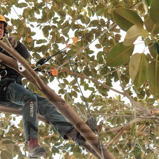 All’Aicardi di Sanremo corso per l’abilitazione di lavoratori su fune, dedicato al lavoro su piante arboree All’Aicardi di Sanremo corso per l’abilitazione di lavoratori su fune, dedicato al lavoro su piante arboree