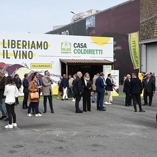 Coldiretti Liguria: “Liberare il vino dalla burocrazia per salvaguardare un settore fragile ma strategico”