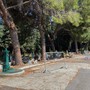 Sanremo: Cimitero di Valle Armea, accessi limitati per motivi di sicurezza: corridoio centrale per le visite