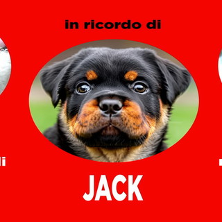 Abbandono animali: campagna di sensibilizzazione di Regione Liguria, Alisa e Autostrade per l'Italia