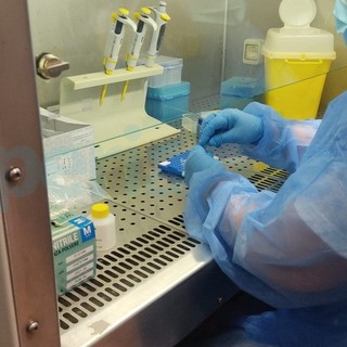 Sanità: fine emergenza Covid, Liguria tra le prime regioni a disciplinare nuove regole per mascherine nei reparti