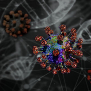 Coronavirus, zero casi a Monaco: da tre giorni il Principato registra un miglioramento Coronavirus, zero casi a Monaco: da tre giorni il Principato registra un miglioramento