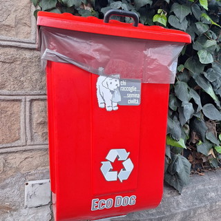 Bordighera: installati venti nuovi cestini in città per la raccolta delle deiezioni canine (Foto) Bordighera: installati venti nuovi cestini in città per la raccolta delle deiezioni canine (Foto)