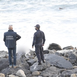 Le immagini dal luogo del ritrovamento (foto Tonino Bonomo) Le immagini dal luogo del ritrovamento (foto Tonino Bonomo)