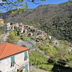 Carpasio celebra il 1° Maggio tra tradizione e comunità: riapre il Museo della Lavanda con nuovi spazi espositivi