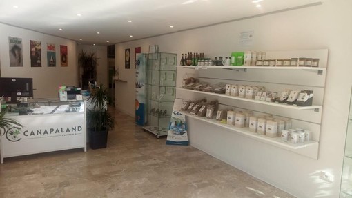 Desideri iniziare a coltivare Cannabis Light? Canapaland ti offre piantine certificate di alta qualità e consulenza tecnica e agronomica Desideri iniziare a coltivare Cannabis Light? Canapaland ti offre piantine certificate di alta qualità e consulenza tecnica e agronomica