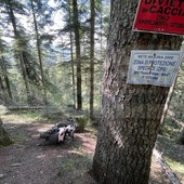 Gouta: un cimitero degli scooter all'interno del bosco, ecco lo scempio in una zona 'protetta' (Foto)