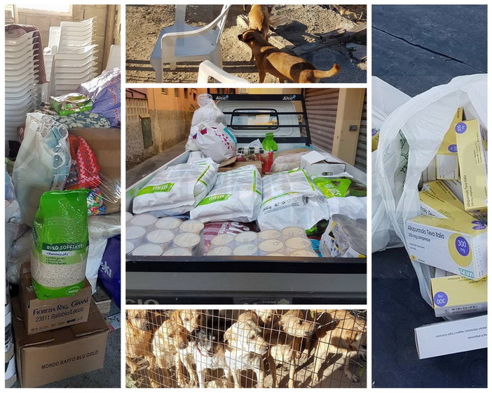 Raccolti 367 euro e comprate medicine e cibo per i cani di Santacroce a Camporosso grazie a 'Sei di Sanremo se... mugugni' (Foto)