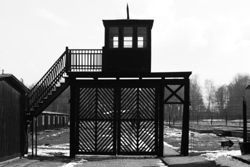 Imperia: a gennaio le 'pietre da inciampo' per ricordare gli imperiesi morti nei lager nazisti Imperia: a gennaio le 'pietre da inciampo' per ricordare gli imperiesi morti nei lager nazisti