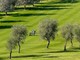 Il campo golf di Sanremo