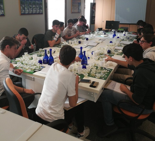 Imperia: è iniziato il corso tecnico per aspiranti assaggiatori di olio di oliva organizzato da Onaoo