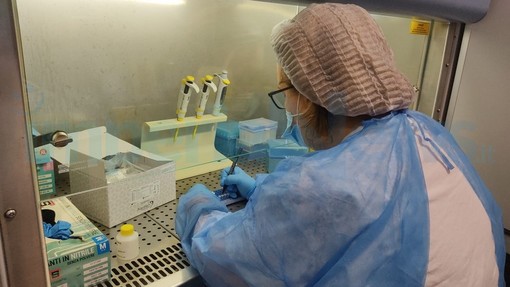 Coronavirus: tamponi, nuovi casi e tasso di positività sui numeri di ieri, aumentano invece i ricoverati Coronavirus: tamponi, nuovi casi e tasso di positività sui numeri di ieri, aumentano invece i ricoverati