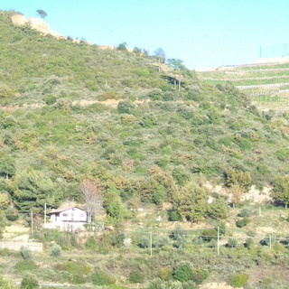 Rifiuti a Rio Sgorreto. Un'ipotesi che un anno fa aveva spaccato il Pd di Imperia e Sanremo Rifiuti a Rio Sgorreto. Un'ipotesi che un anno fa aveva spaccato il Pd di Imperia e Sanremo